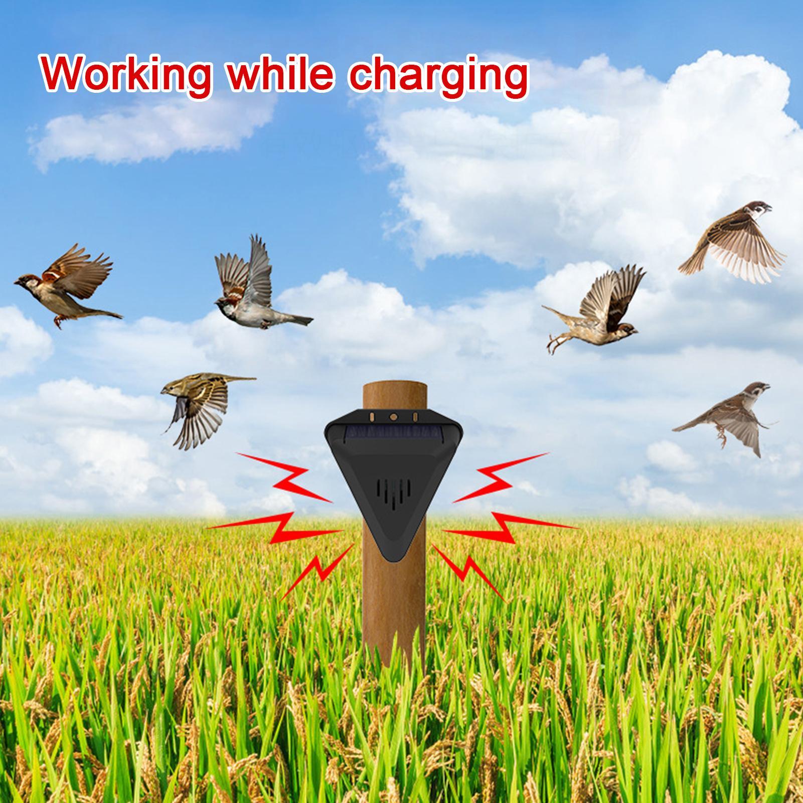 Ahuyentador de Aves Solar con  - Outdoor Power With Timer reseña y precio