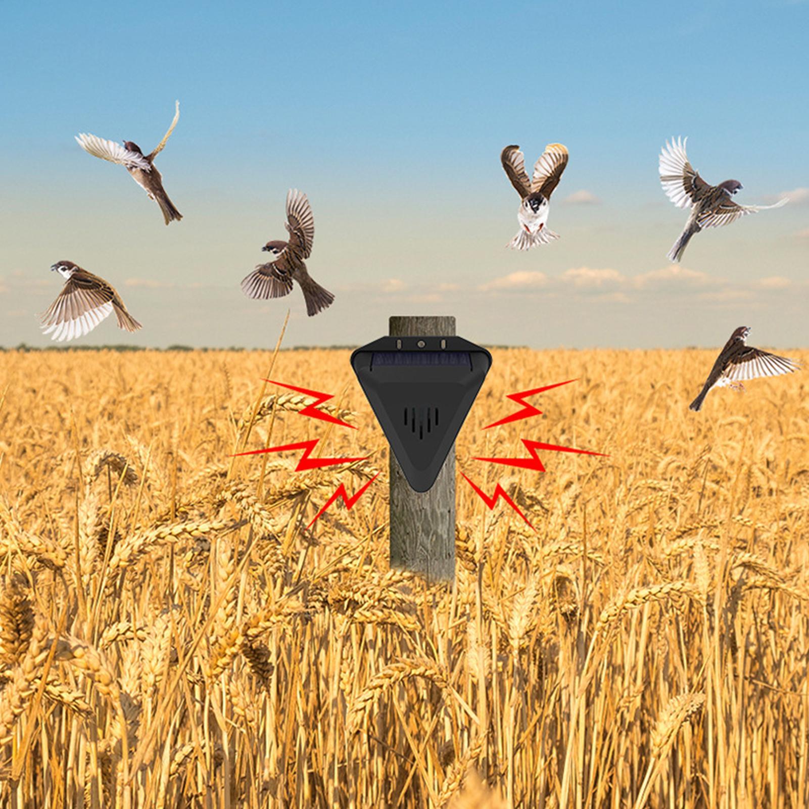 Ahuyentador de Aves Solar con  - Outdoor Power With Timer reseña y precio