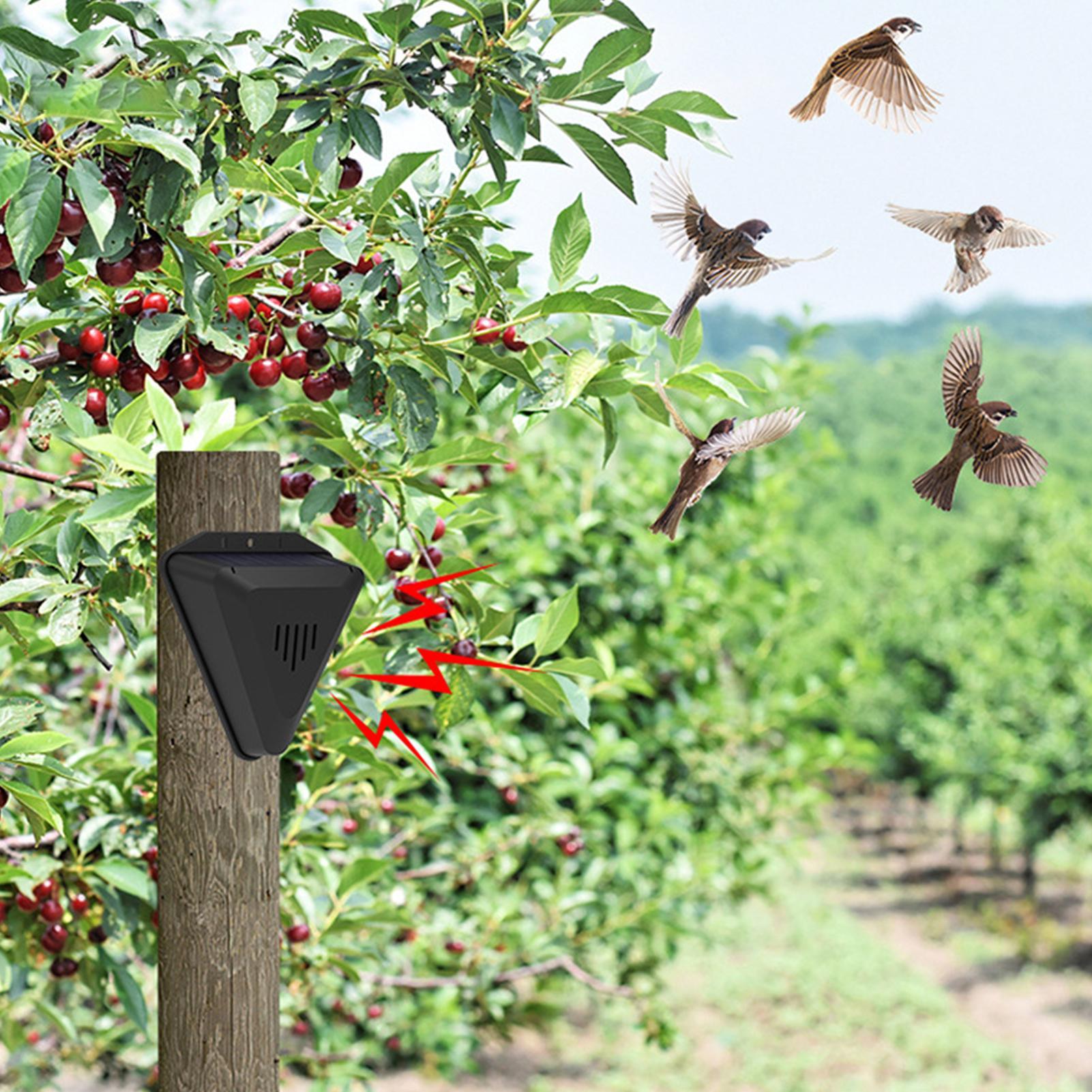 Ahuyentador de Aves Solar con  - Outdoor Power With Timer reseña y precio
